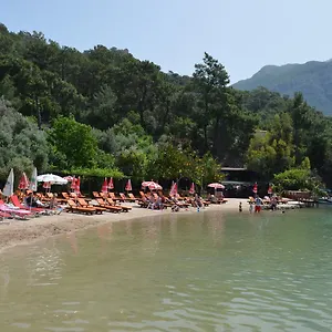 uygunluğu kontrol et